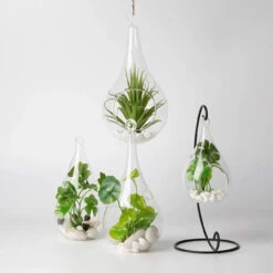 3" X 5.5" Hanging Pear Terrarium Candle Holder - 48 Pieces 9 3" X 5.5" Hanging Pear Terrarium Candle Holder - 48 Pieces -Home Decoration Discount 71OjYyevXbL. AC SL1500 50293.1661959685.1280.1280