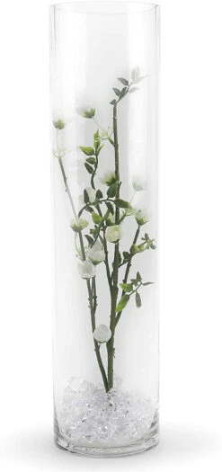 4" X 16" Cylinder Glass Vase - 12 Pieces 10 4" X 16" Cylinder Glass Vase - 12 Pieces -Home Decoration Discount 71PQS0gBmlL. AC SL1500 25570.1661287841.1280.1280