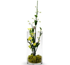 5" X 10" Cylinder Glass Vase - 12 Pieces -Home Decoration Discount 71Py8rFHOxL 41419.1661321177.1280.1280