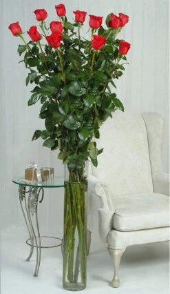 5" X 24" Cylinder Glass Vase - 6 Pieces -Home Decoration Discount 71QhWfwjvWL. AC SL1500 90837.1661950988.1280.1280