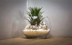 10"x8" Clear Bubble Bowl Vase - 4 Pieces -Home Decoration Discount 71Sw79sD7SL. AC SL1500 56342.1663091014.1280.1280