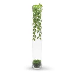 4" X 28" Cylinder Glass Vase - 6 Pieces 10 4" X 28" Cylinder Glass Vase - 6 Pieces -Home Decoration Discount 71U4nbnbpeL 13681.1661324468.1280.1280