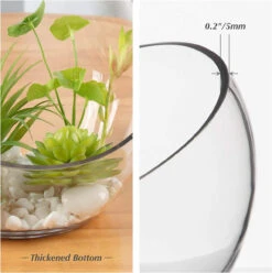 7" X 8" X 3" Slant Bowl Glass Vase - 4 Pieces 18 7" X 8" X 3" Slant Bowl Glass Vase - 4 Pieces -Home Decoration Discount 71WSqsGqQJL. AC SL1500 26829.1661600791.1280.1280