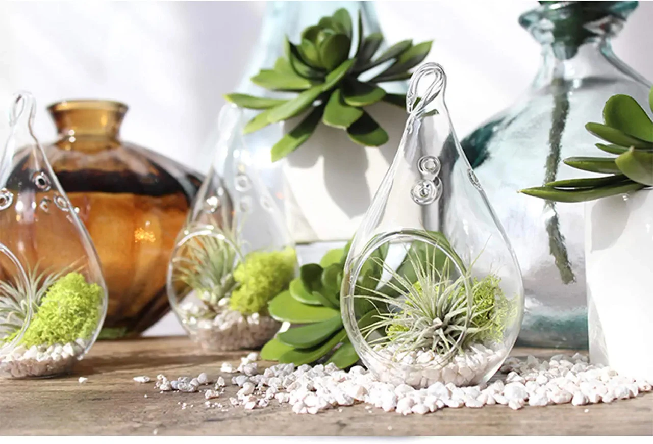 3" X 5.5" Hanging Pear Terrarium Candle Holder - 48 Pieces 6 3" X 5.5" Hanging Pear Terrarium Candle Holder - 48 Pieces - Image 6