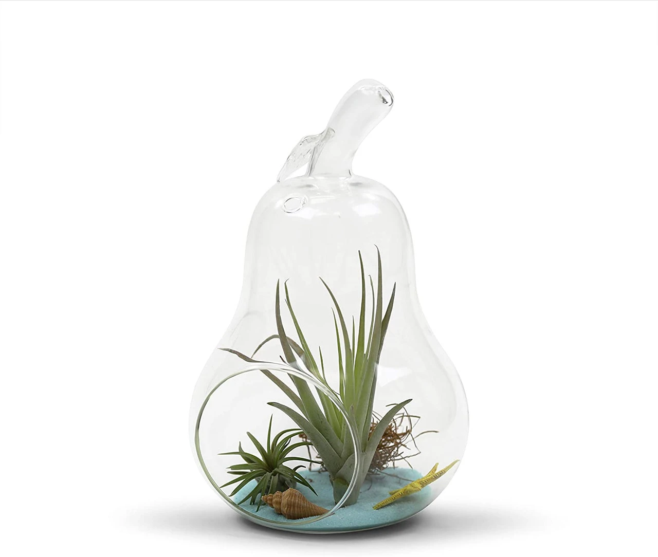 5.5" X 8" Apple Terrarium Candle Holder - 12 Pieces 3 5.5" X 8" Apple Terrarium Candle Holder - 12 Pieces - Image 3