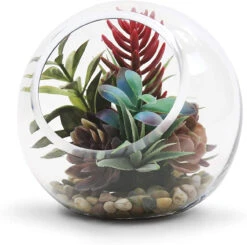 8 Inch Clear Slant Bubble Bowl Vase - 6 Pieces -Home Decoration Discount 71c3NXu72aL. AC SL1500 91485.1661703404.1280.1280