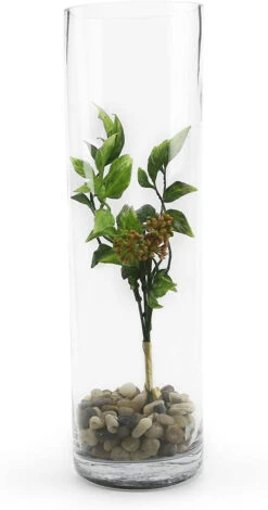 4" X 14" Cylinder Glass Vase - 12 Pieces -Home Decoration Discount 71e9Pu2GYhL. AC SL1500 48208.1663079517.1280.1280