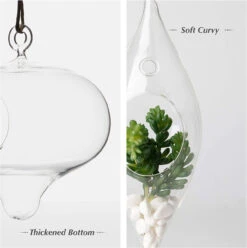 5" X 6" Rope Hanging Terrarium - 24 Pieces 13 5" X 6" Rope Hanging Terrarium - 24 Pieces -Home Decoration Discount 71emas 5wsL. AC SL1500 33067.1661957071.1280.1280