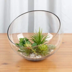 11" X 10" Slant Bowl Glass Vase - 2 Pieces 16 11" X 10" Slant Bowl Glass Vase - 2 Pieces -Home Decoration Discount 71fqOyDltCL. AC SL1500 56016.1661606228.1280.1280