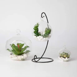 3" X 4" Hanging Round Terrarium Candle Holder - 72 Pieces 18 3" X 4" Hanging Round Terrarium Candle Holder - 72 Pieces -Home Decoration Discount 71gdSZdVoCL. AC SL1500 85043.1661951519.1280.1280