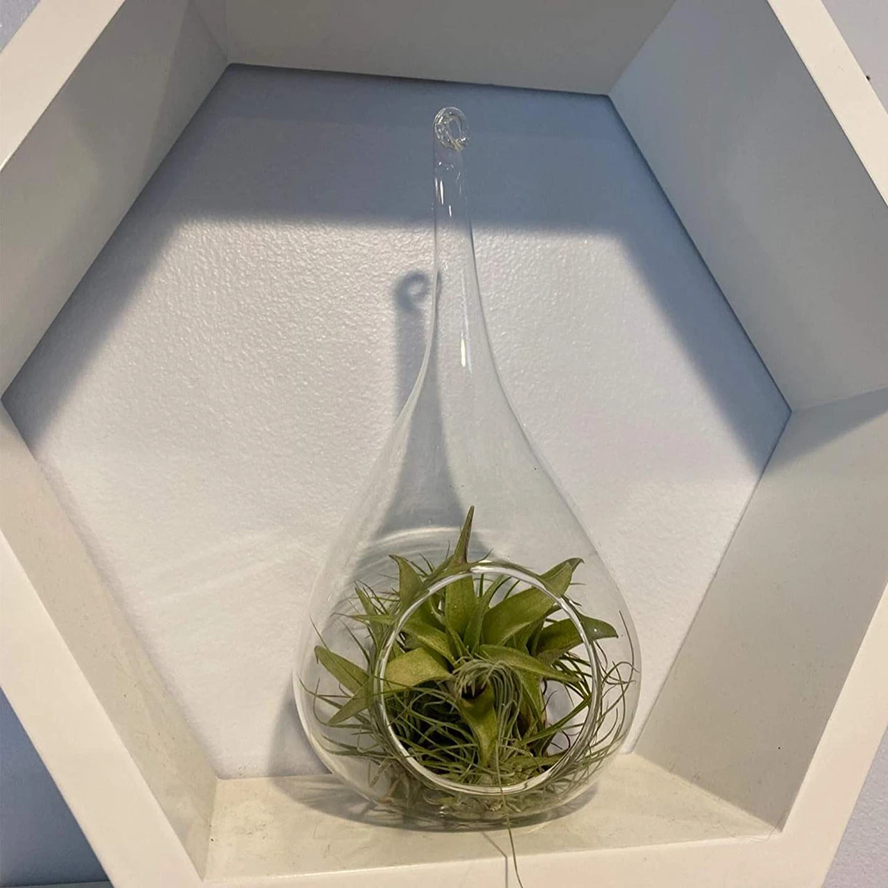 4" X 9.5" Hanging Pear Terrarium Candle Holder - 24 Pieces 4 4" X 9.5" Hanging Pear Terrarium Candle Holder - 24 Pieces - Image 4