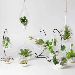 4" X 9.5" Hanging Pear Terrarium Candle Holder - 24 Pieces 15 4" X 9.5" Hanging Pear Terrarium Candle Holder - 24 Pieces -Home Decoration Discount 71j87sWLIgL. AC SL1500 14951.1661953037.1280.1280