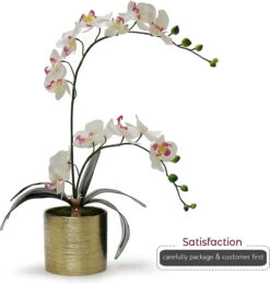 5.5" X 5" Gold Cylinder Ceramic - 12 Pieces -Home Decoration Discount 71jgA4J3ddL. AC SL1500 15445.1661787391.1280.1280