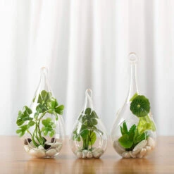 4" X 9.5" Hanging Pear Terrarium Candle Holder - 24 Pieces 13 4" X 9.5" Hanging Pear Terrarium Candle Holder - 24 Pieces -Home Decoration Discount 71lKajDbCLL. AC SL1500 28292.1661953034.1280.1280