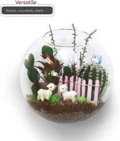 6" Diameter Glass Terrarium - 24 Pieces -Home Decoration Discount 71maX3oyhfL. AC SL1500 27940.1661957166.1280.1280