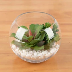 8" X 6.3" Clear Bubble Bowl Vase - 6 Pieces -Home Decoration Discount 71pVY03BwlL. AC SL1500 13722.1661372073.1280.1280