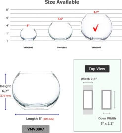 Home Decoration Discount -Home Decoration Discount 71rZmG DNRL. AC SL1500 10856.1661961213.1280.1280