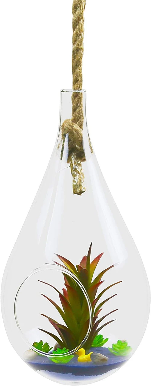 5" X 9.5" Rope Hanging Terrarium - 12 Pieces 3 5" X 9.5" Rope Hanging Terrarium - 12 Pieces - Image 3