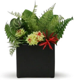 6 Inch Black Square Cube - 6 Pieces 11 6 Inch Black Square Cube - 6 Pieces -Home Decoration Discount 71ucYuFvn5L. AC SL1500 88461.1661768683.1280.1280