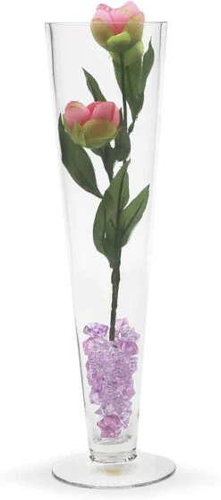 4" X 16" Clear Trumpet Vase - Case Of 8 -Home Decoration Discount 71x fhBMDDL. AC SL1500 43873.1661666211.1280.1280