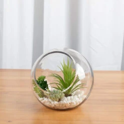 8 Inch Clear Slant Bubble Bowl Vase - 6 Pieces -Home Decoration Discount 71xjAFsZDnL. AC SL1500 59555.1661703404.1280.1280