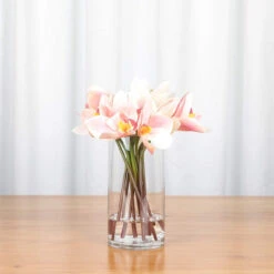 5" X 8" Cylinder Glass Vase - 12 Pieces -Home Decoration Discount 71yUz3y0AdL. AC SL1500 15799.1661950909.1280.1280