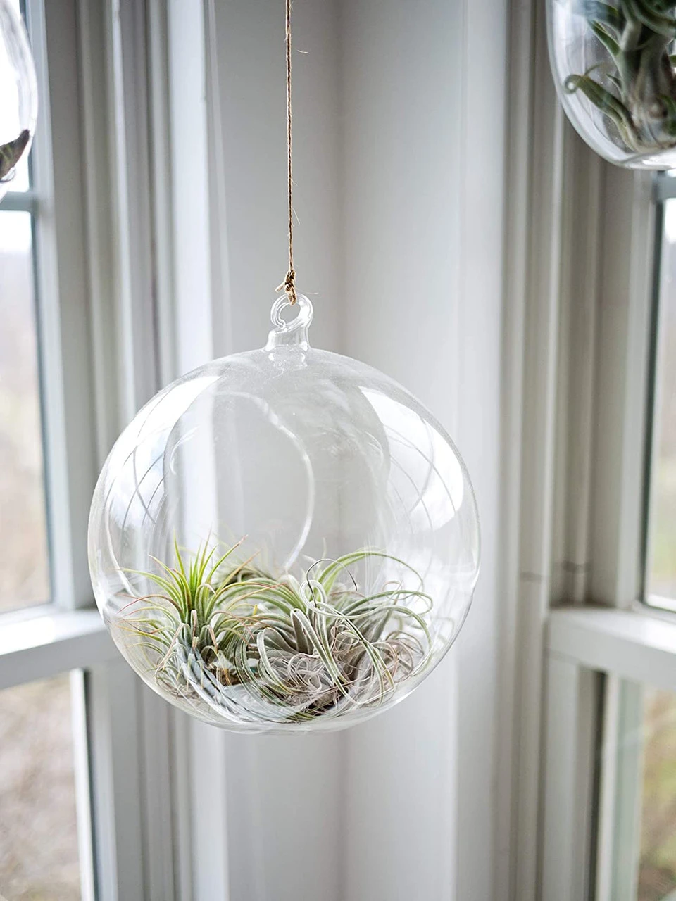 8" X 9" Hanging Round Terrarium Candle Holder - 12 Pieces 9 8" X 9" Hanging Round Terrarium Candle Holder - 12 Pieces - Image 9