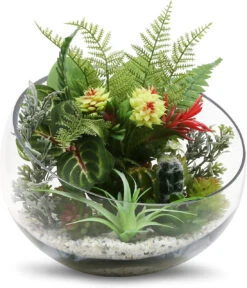 11" X 10" Slant Bowl Glass Vase - 2 Pieces 14 11" X 10" Slant Bowl Glass Vase - 2 Pieces -Home Decoration Discount 812 wfnBEiL. AC SL1500 43798.1661954965.1280.1280