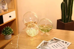 4" X 5" Clear Slant Cut Bowl Vase On Stem - 48 Pieces -Home Decoration Discount 8167j9JOjIL. AC SL1500 95244.1661957314.1280.1280