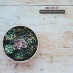 5.5" X 5" White Cylinder Ceramic - 12 Pieces 16 5.5" X 5" White Cylinder Ceramic - 12 Pieces -Home Decoration Discount 817EfgOzzvL. AC SL1500 96513.1661775991.1280.1280