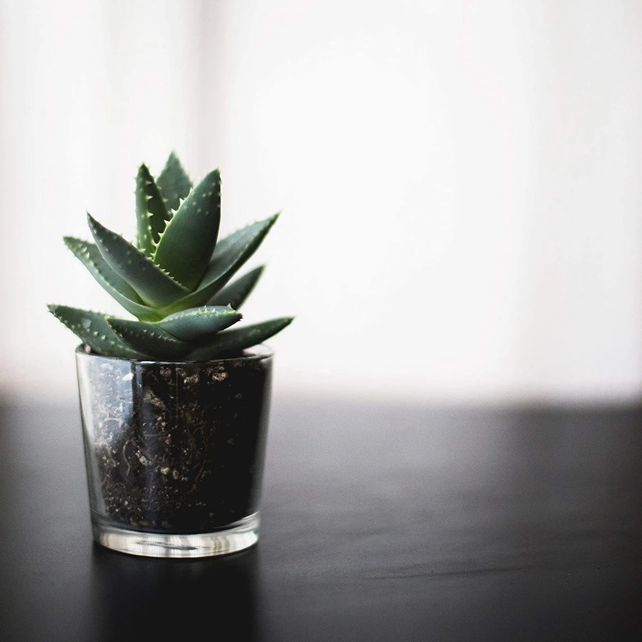 2" X 2" Clear Cylinder Glass Vase/Votive Candle Holder - 144 Pieces 3 2" X 2" Clear Cylinder Glass Vase/Votive Candle Holder - 144 Pieces - Image 3