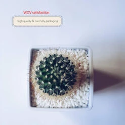 6 Inch White Square Cube - 6 Pieces 15 6 Inch White Square Cube - 6 Pieces -Home Decoration Discount 818rEoJ IiL. AC SL1500 39255.1661788238.1280.1280