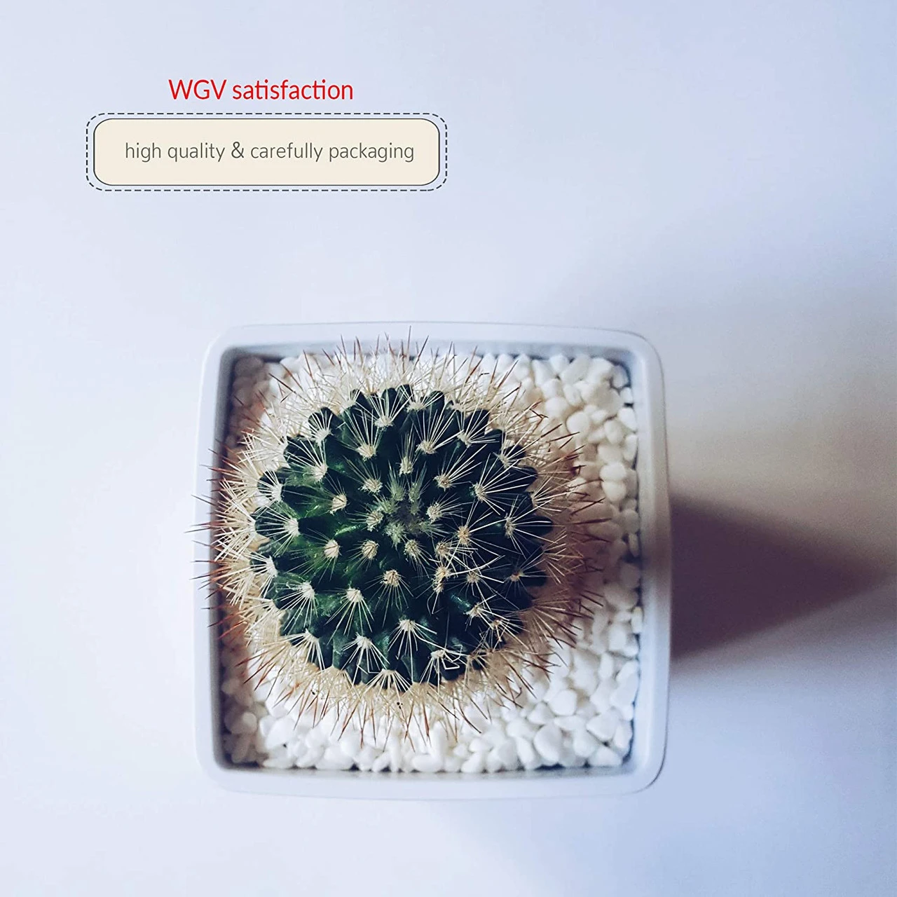 6 Inch White Square Cube - 6 Pieces 8 6 Inch White Square Cube - 6 Pieces - Image 8