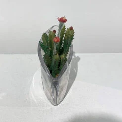 8.5" X 3" Clear Boat Vase - 36 Pieces -Home Decoration Discount 81AcWOf rJL. AC SL1500 89033.1661346339.1280.1280