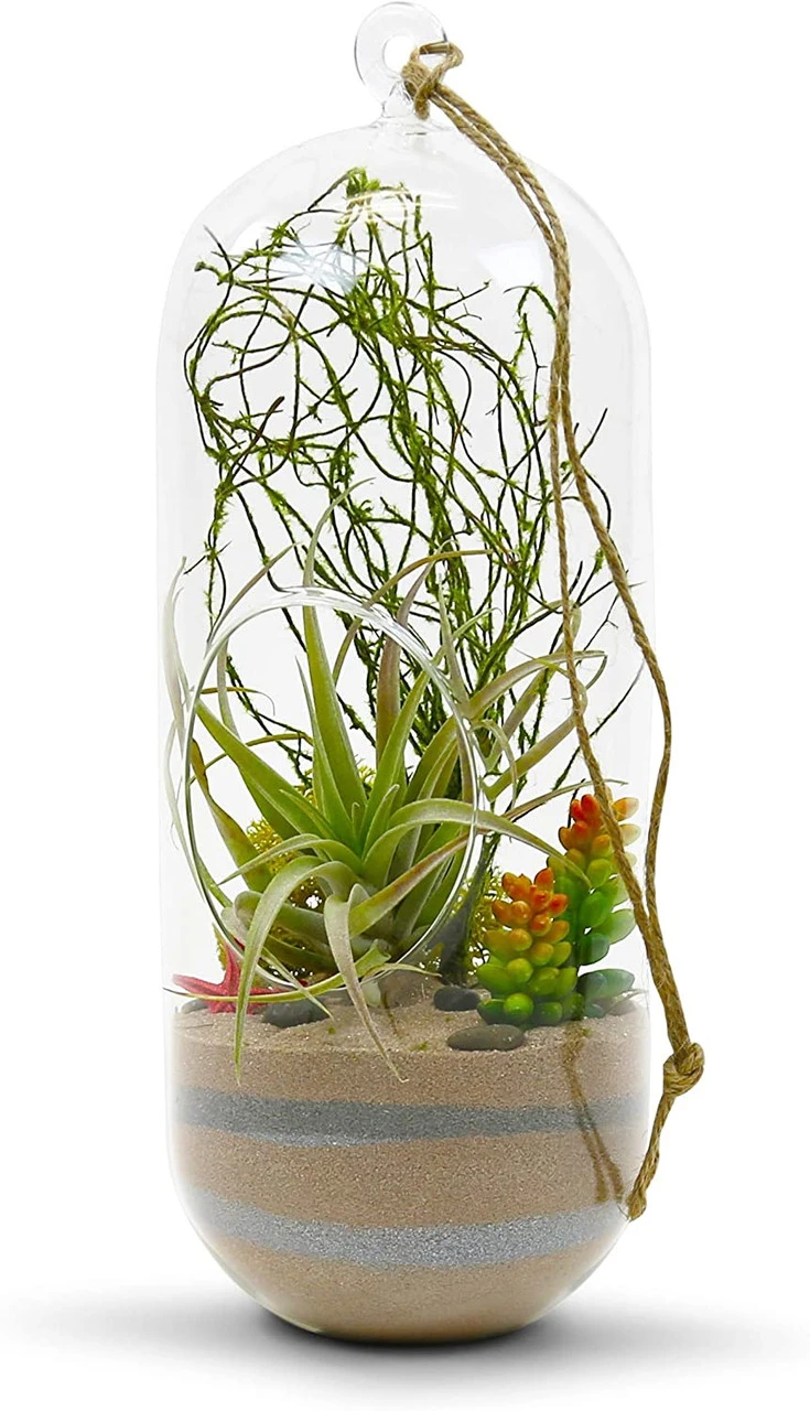 5" X 12" Cylindrical Hanging Terrarium Candle Holder - 12 Pieces 3 5" X 12" Cylindrical Hanging Terrarium Candle Holder - 12 Pieces - Image 3