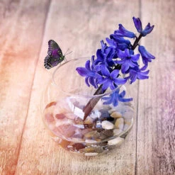 8" X 6.3" Clear Bubble Bowl Vase - 6 Pieces -Home Decoration Discount 81Dd3Ig6rNL. AC SL1279 32205.1661372073.1280.1280