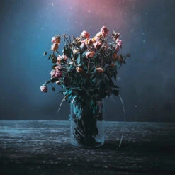 6" X 8" Cylinder Glass Vase - 12 Pieces 11 6" X 8" Cylinder Glass Vase - 12 Pieces -Home Decoration Discount 81J3tuFHO0L. AC SL1500 74261.1661415049.1280.1280