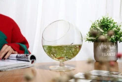 5" X 6" Clear Slant Cut Bowl Vase On Stem - 24 Pieces -Home Decoration Discount 81LkrCnWhdL. AC SL1500 73618.1661957349.1280.1280