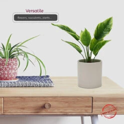 6.5" X 6" White Cylinder Ceramic - 6 Pieces 13 6.5" X 6" White Cylinder Ceramic - 6 Pieces -Home Decoration Discount 81OTWTnhI L. AC SL1500 96119.1661771706.1280.1280