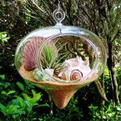 5" X 6" Rope Hanging Terrarium - 24 Pieces 19 5" X 6" Rope Hanging Terrarium - 24 Pieces -Home Decoration Discount 81P3RitAg9L. AC SL1500 67639.1661649024.1280.1280