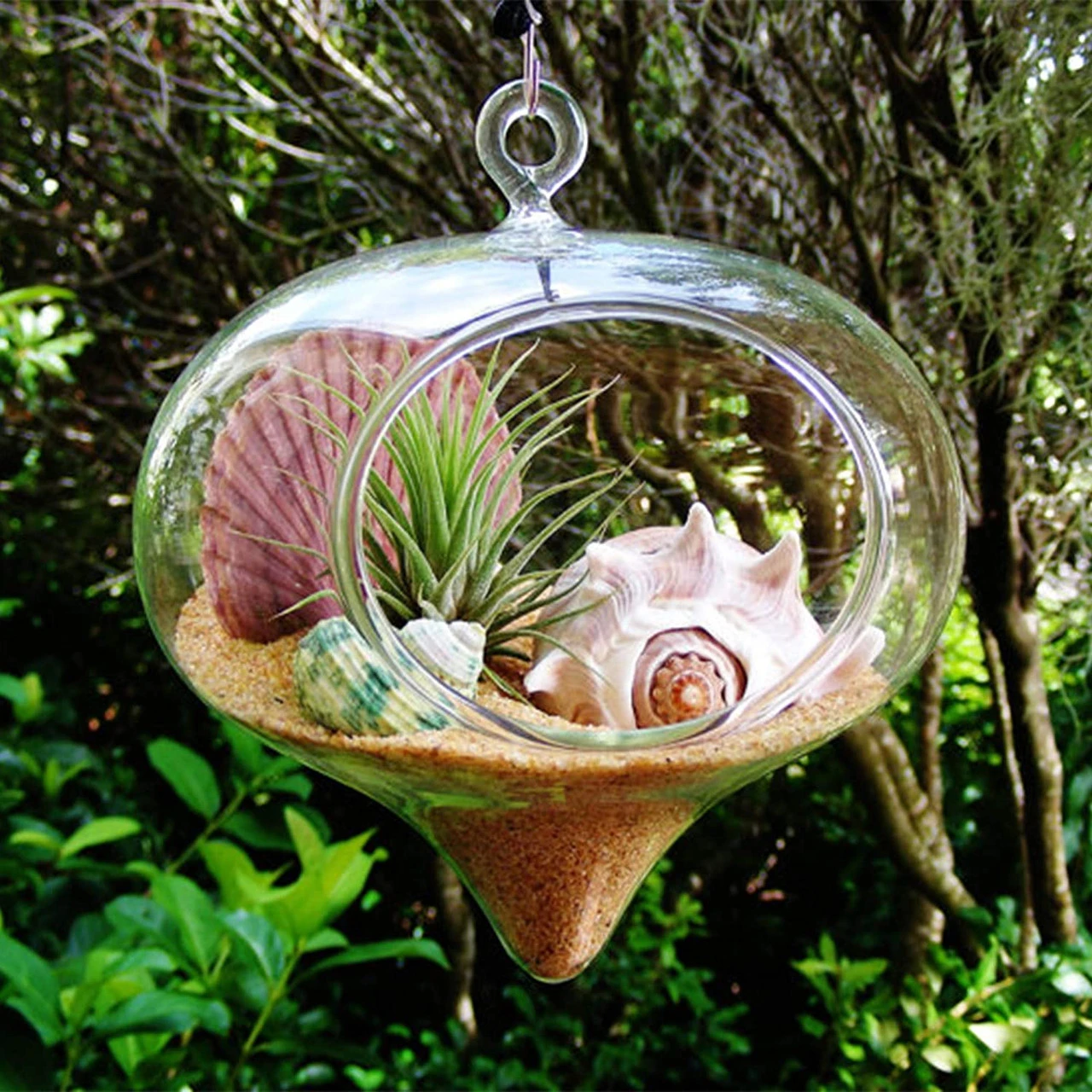 5" X 6" Rope Hanging Terrarium - 24 Pieces 10 5" X 6" Rope Hanging Terrarium - 24 Pieces - Image 10