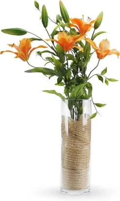 4" X 12" Cylinder Glass Vase - 12 Pieces -Home Decoration Discount 81Rr8EIkJpL. AC SL1500 97383.1661296628.1280.1280
