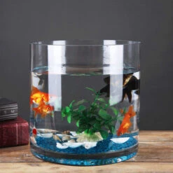 12" X 12" Clear Cylinder Vase - 2 Pieces -Home Decoration Discount 81U1bH llGL. AC SL1500 28129.1661880378.1280.1280