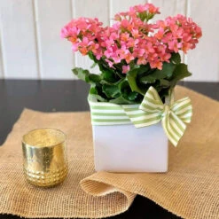 5 Inch White Square Cube - 12 Pieces 12 5 Inch White Square Cube - 12 Pieces -Home Decoration Discount 81W5PWdfhHL. AC SL1500 09152.1661788114.1280.1280