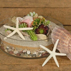 4" X 15" Clear Cylinder Vase - 1 Piece 11 4" X 15" Clear Cylinder Vase - 1 Piece -Home Decoration Discount 81a jRvBvmL. AC SL1500 74879.1661896746.1280.1280