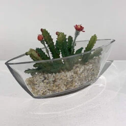 8.5" X 3" Clear Boat Vase - 36 Pieces -Home Decoration Discount 81b1XwpgAmL. AC SL1500 30954.1661346339.1280.1280