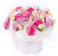 3.75" X 4" White Cylinder Ceramic - 24 Pieces 9 3.75" X 4" White Cylinder Ceramic - 24 Pieces -Home Decoration Discount 81bKWLRZgxL. AC SL1500 84729.1661962557.1280.1280