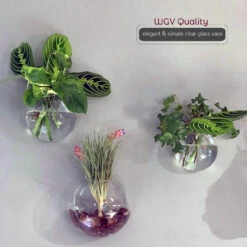 6" Diameter Glass Terrarium - 24 Pieces -Home Decoration Discount 81cdozE nNL. AC SL1500 10895.1661957169.1280.1280