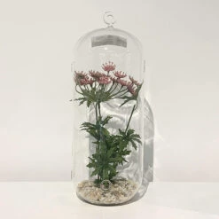 5" X 12" Cylindrical Hanging Terrarium Candle Holder - 12 Pieces 9 5" X 12" Cylindrical Hanging Terrarium Candle Holder - 12 Pieces -Home Decoration Discount 81gB9rcjULL. AC SL1500 18527.1661953149.1280.1280