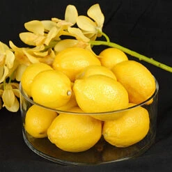 8" X 4" Cylinder Glass Vase - 6 Pieces -Home Decoration Discount 81gQW605gkL. AC SL1500 75751.1661709284.1280.1280